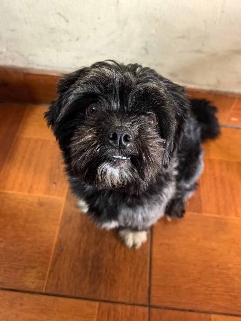 Imagen #1 de Fernanda Aguilar