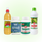 Combo Riñones Sanos y Limpieza Renal